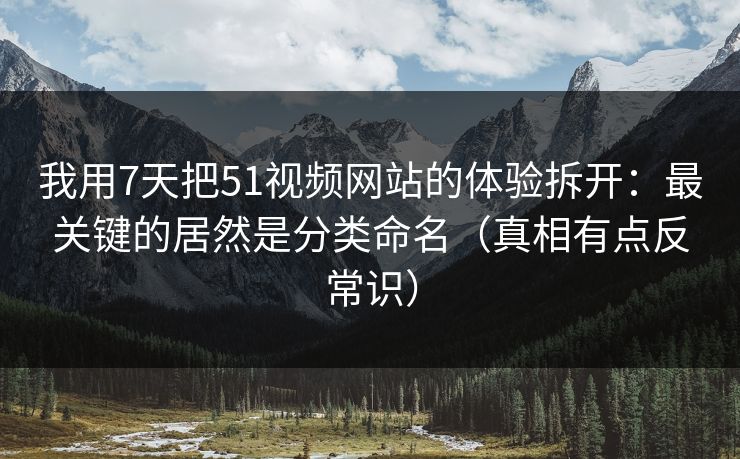 我用7天把51视频网站的体验拆开：最关键的居然是分类命名（真相有点反常识）