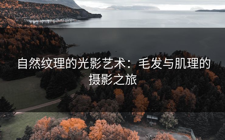 自然纹理的光影艺术:毛发与肌理的摄影之旅